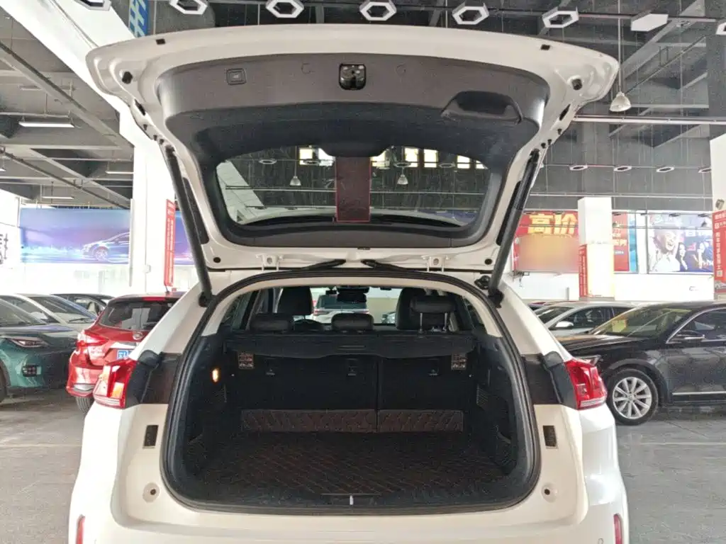 WEY VV5 2017 2017 2.0T Super Luxury Model