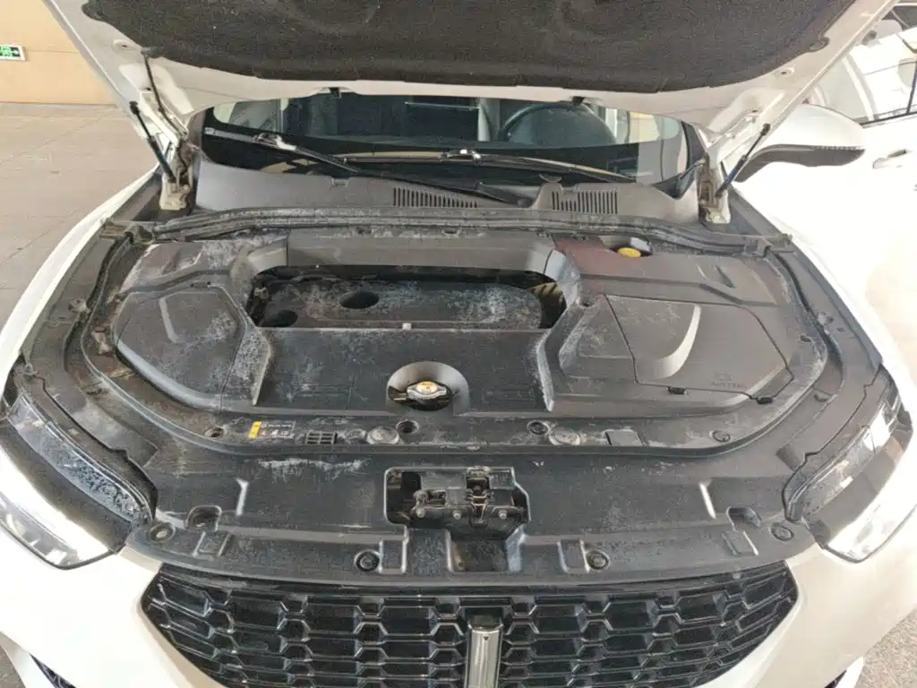 WEY VV5 2017 2017 2.0T Super Luxury Model