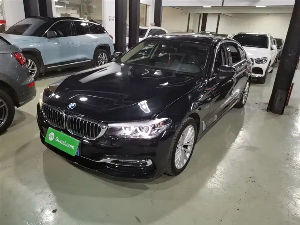 BMW 5 Series 2018 525Li Luxury Package фото 2