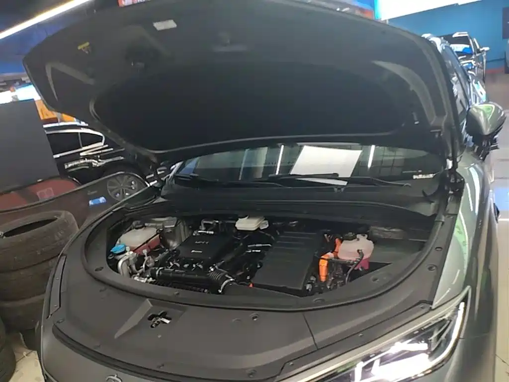 BYD Song L DM-i 2025 Smart Drive 160km Premium фото 20