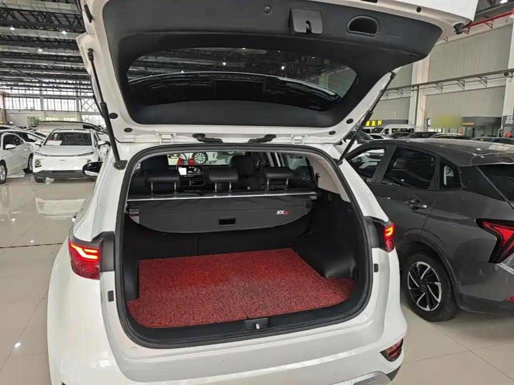 Kia KX5 2019 2019 1.6T Automatic 2WD Luxury Edition