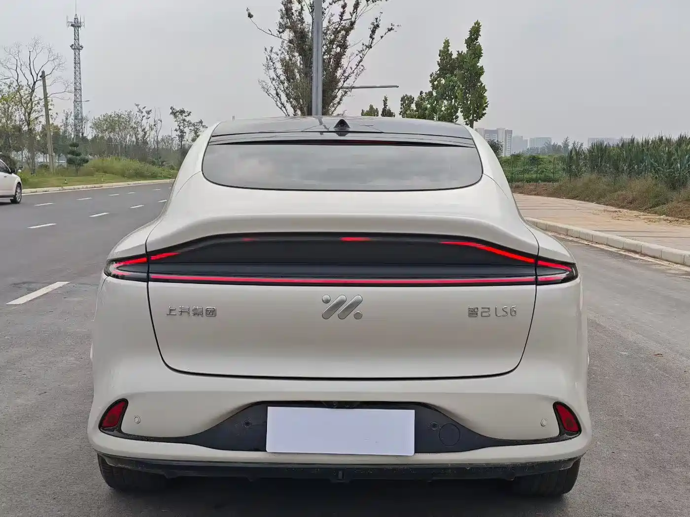 ZHIJI AUTOMOBILE ZHIJI LS6