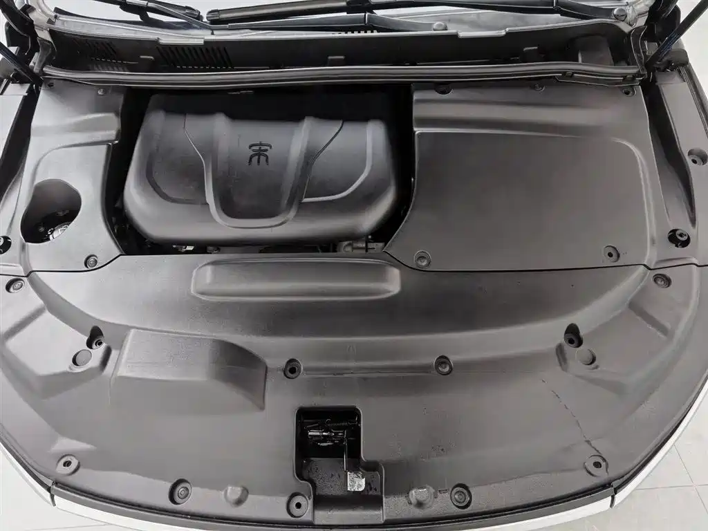 BYD Song MAX 2018 1.5T Auto Smart Connected Elite 6-Seater фото 6