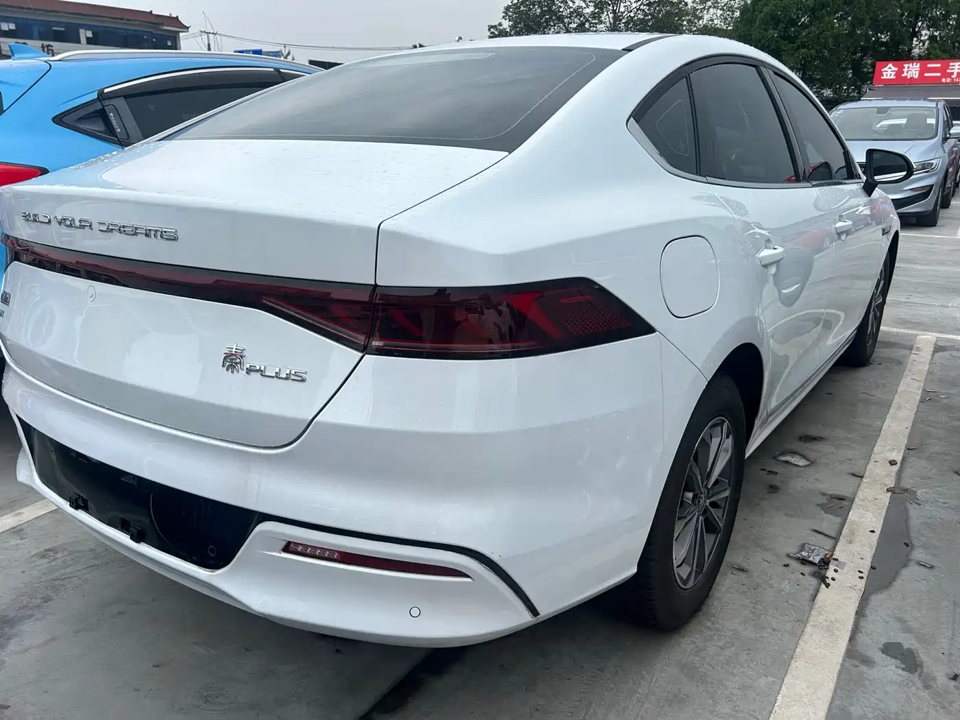 BYD Qin PLUS 2024 Glory Edition DM-i 55KM Leading фото 12