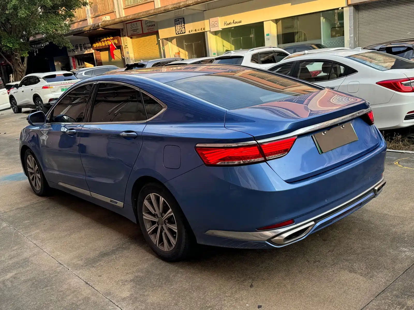 Фото 6 - Geely Borui