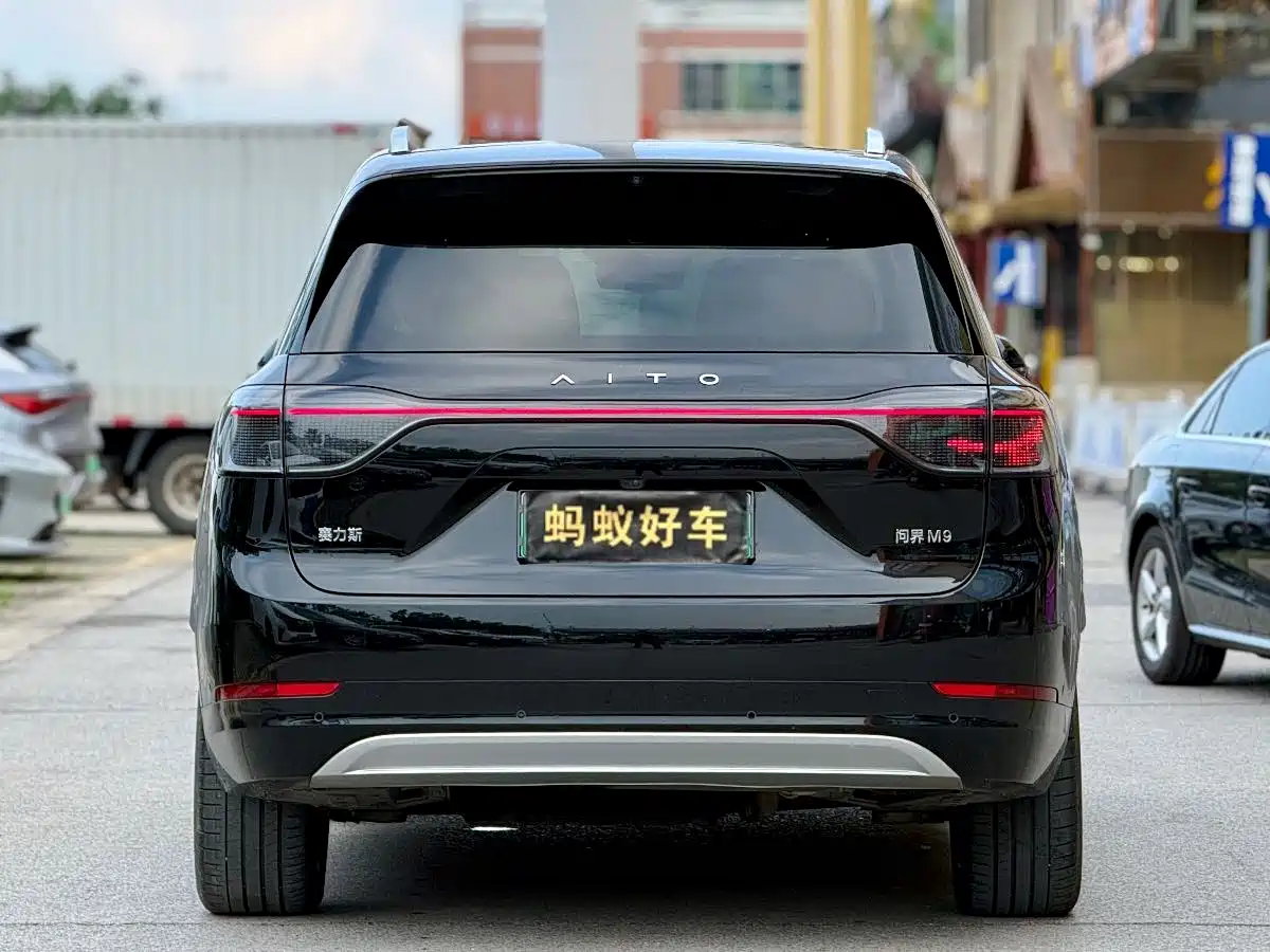AITO Wenjie AITO M9 2024 Extended Range Ultra 42kWh 6-Seater фото 11