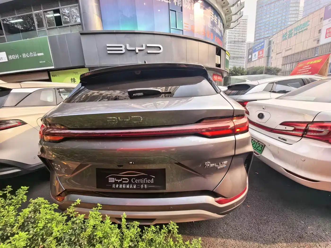BYD SONGJIANG NEW ENERGY