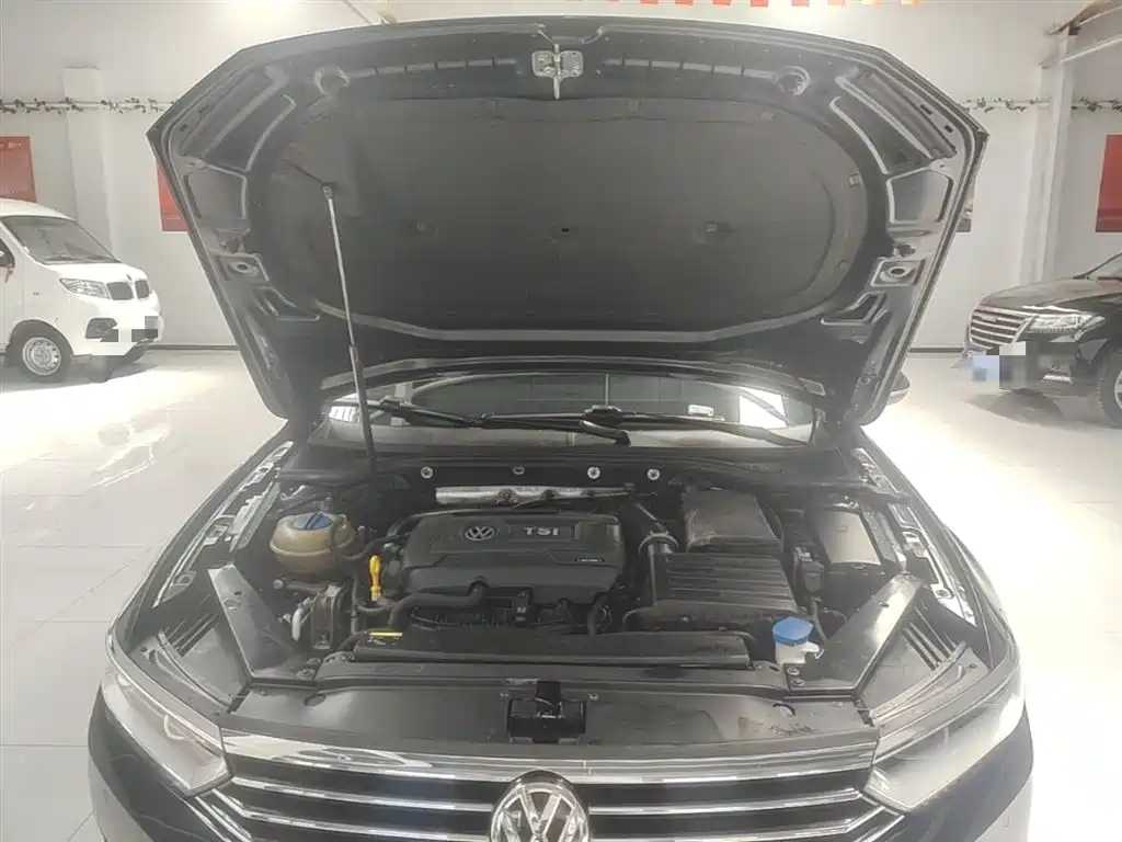 Volkswagen Magotan 2017 330TSI DSG Luxury фото 20