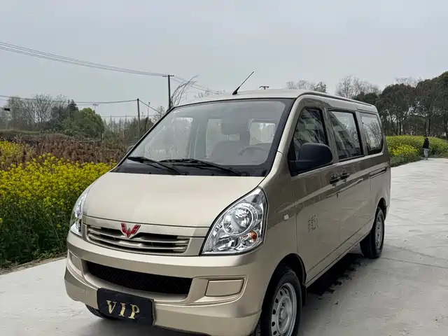 WULING WULING RONGGUANG S