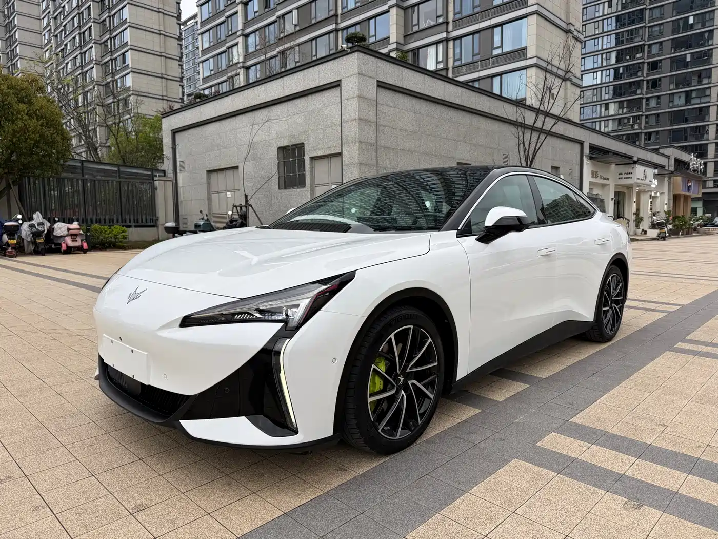 ARCFOX EXTREME FOX POLAR FOX ALPHA S5