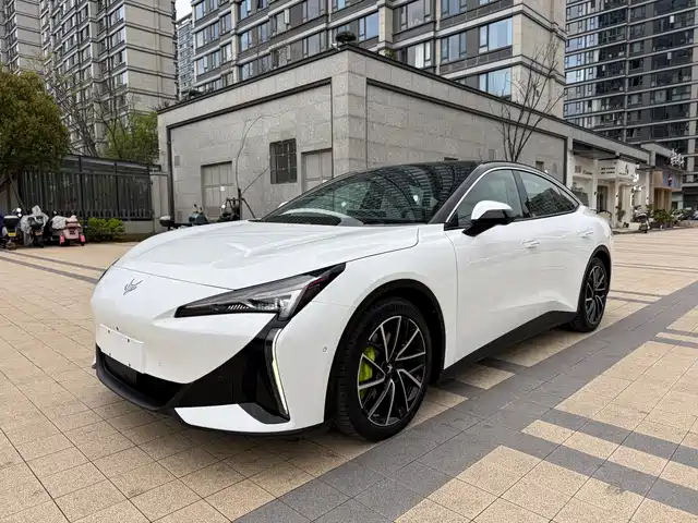 ARCFOX EXTREME FOX POLAR FOX ALPHA S5