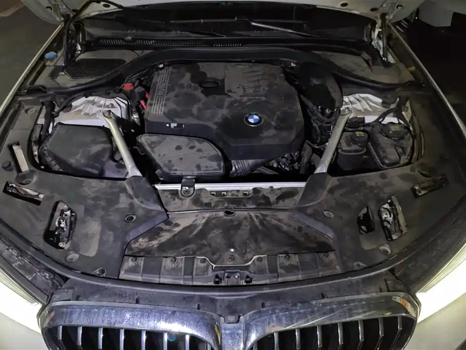BMW 5 Series 2022 Model Second Facelift 530Li Leading Luxury Package фото 10