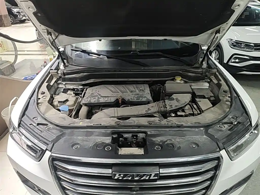 Haval H6 2020 1.5GDIT Automatic Platinum Champion Edition фото 20