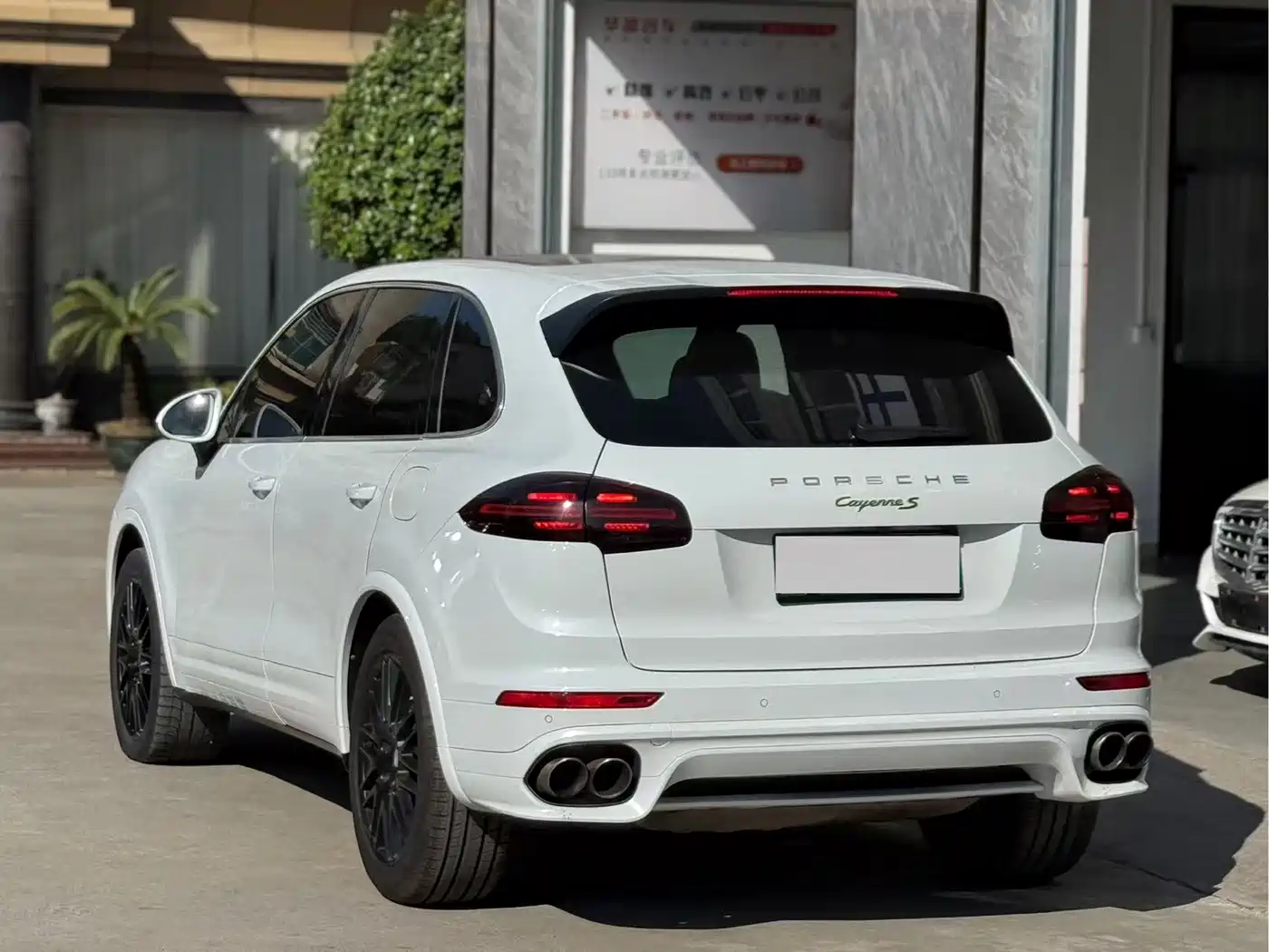 PORSCHE CAYENNE NEW ENERGY
