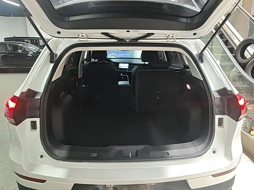 Haval H6 2020 1.5GDIT Automatic Platinum Champion Edition фото 19