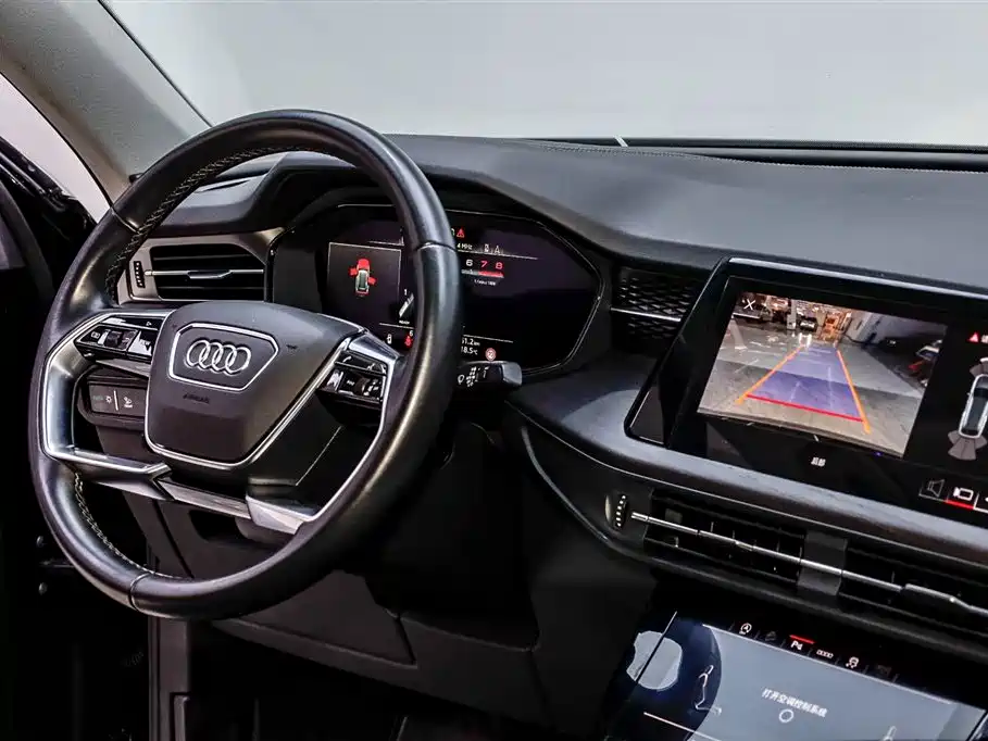 Audi Q6 2024 40 TFSI quattro Cloud View Yulin Package 7-seater фото 27