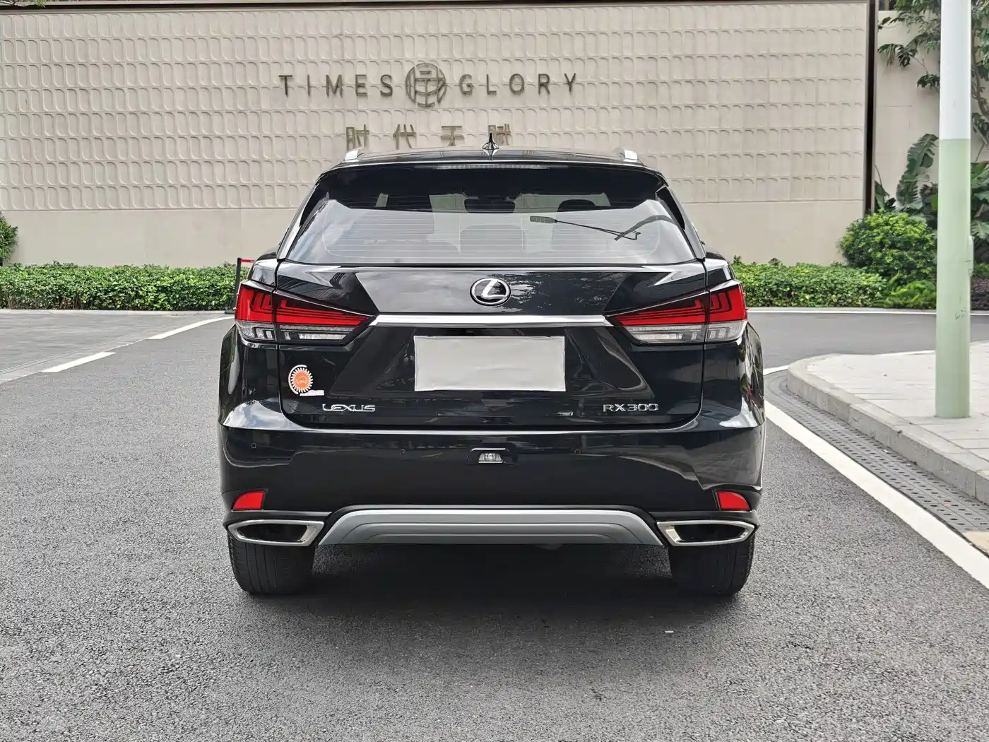 Lexus RX 2020 Facelift 300 2WD Comfort Edition фото 4