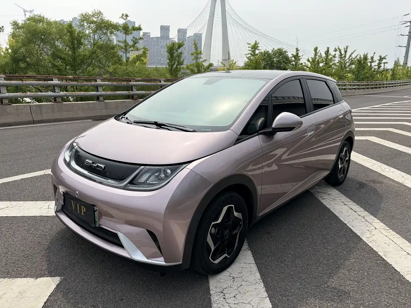 BYD Dolphin 2021 Model 405km Fashion Edition