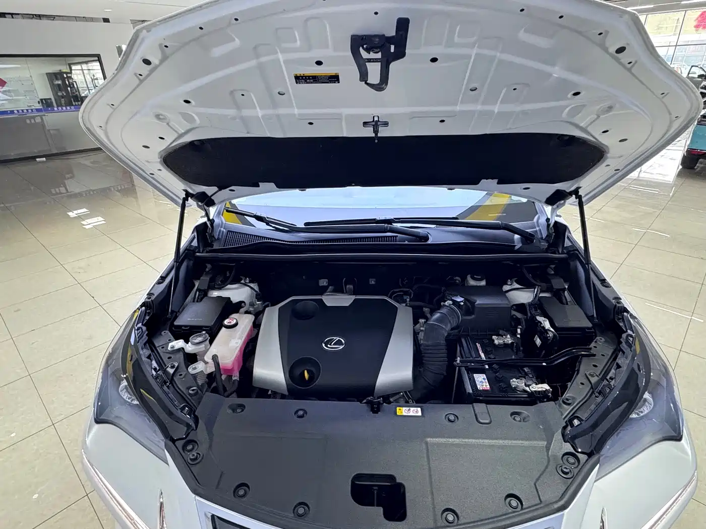 LEXUS NX