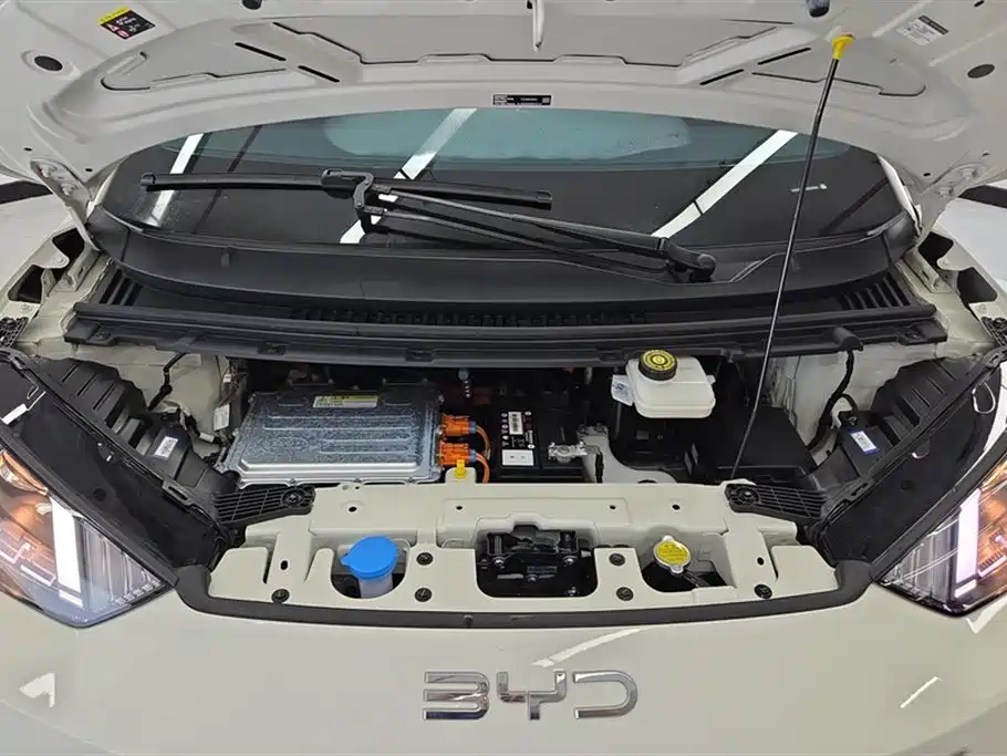 BYD Seagull 2025 305km Vitality фото 10