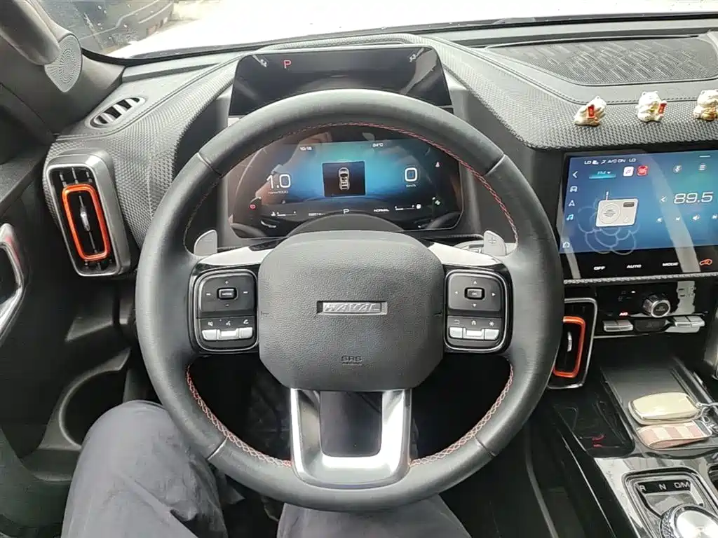 Haval Big Dog 2021 1.5T DCT 2WD Border Collie - Wangcai Edition фото 11