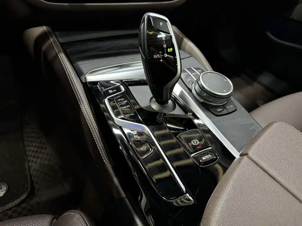 BMW 5 Series 2021 Facelift 530Li Premium M Sport Package фото 16
