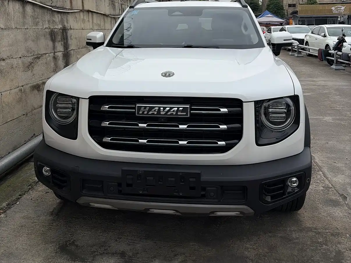 Haval Big Dog 2021 2.0T DCT 4WD Chinese Rural Dog Edition фото 2