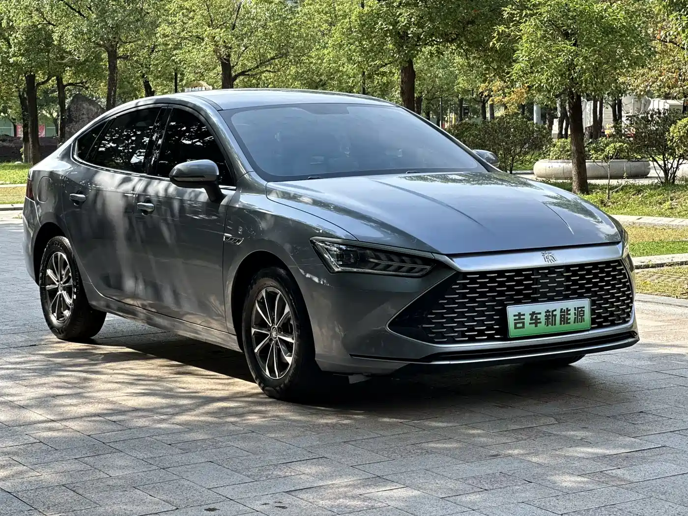 BYD Qin PLUS 2023 Champion Edition DM-i 55KM Leading фото 2