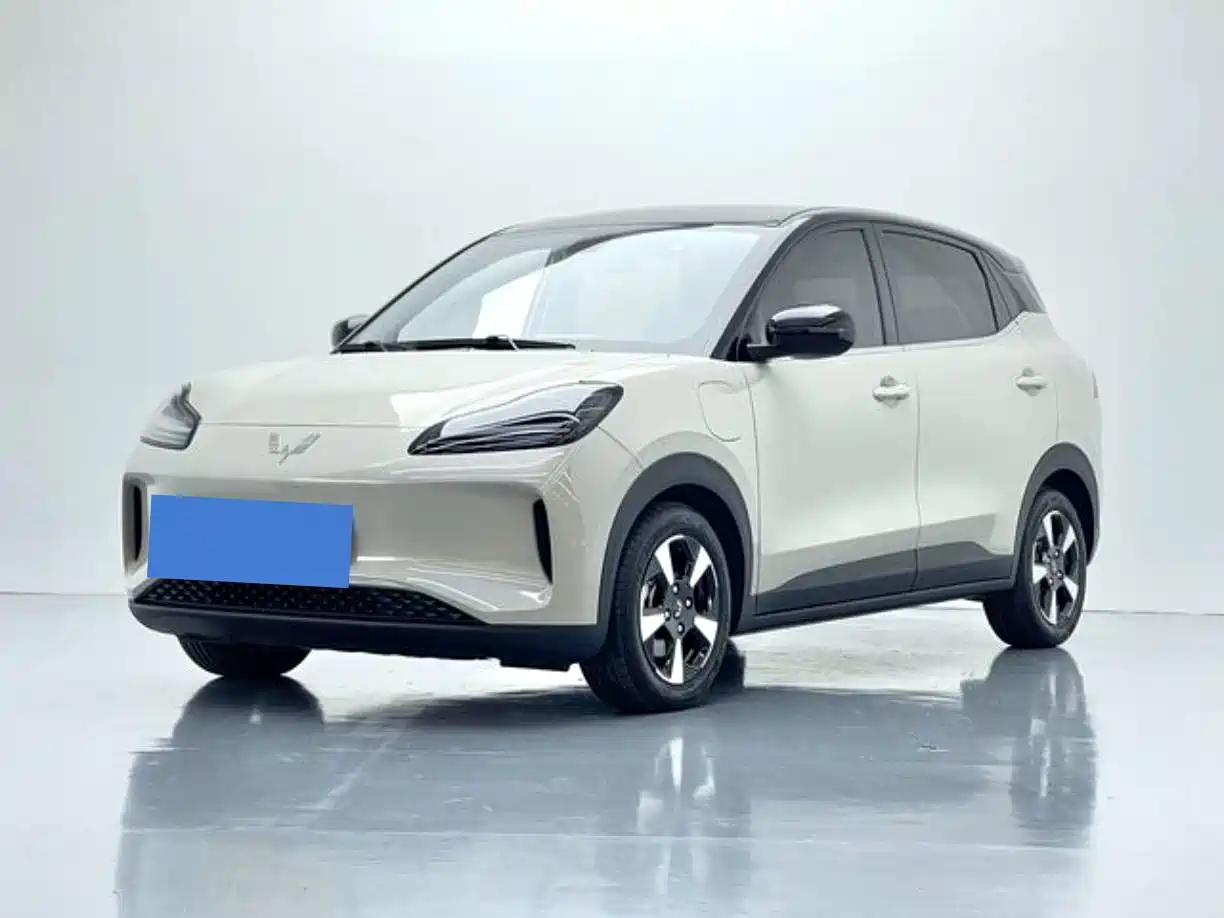 Wuling Motors Wuling Binguo PLUS 2024 Model 330km 5-Seater