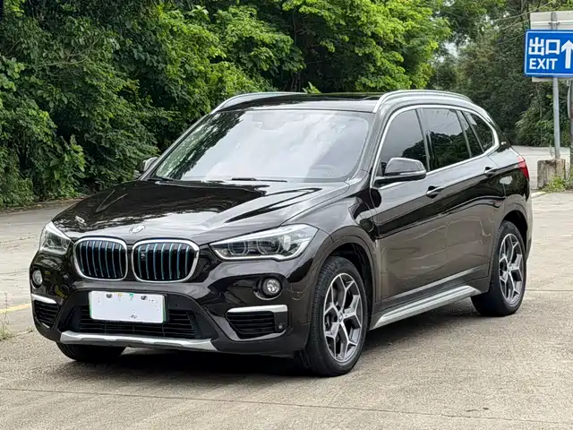  BMW BMW X1 New Energy 2019 xDrive25Le Luxury