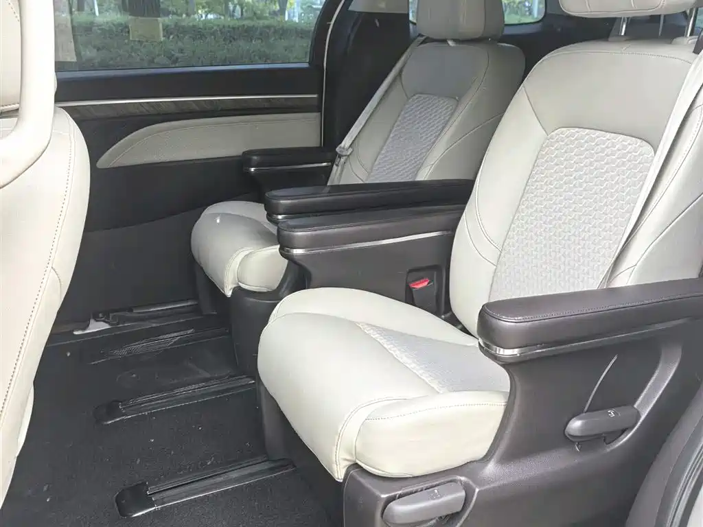 GAC Trumpchi Trumpchi M8 2021 Leading Show Series 390T Luxury Edition фото 8