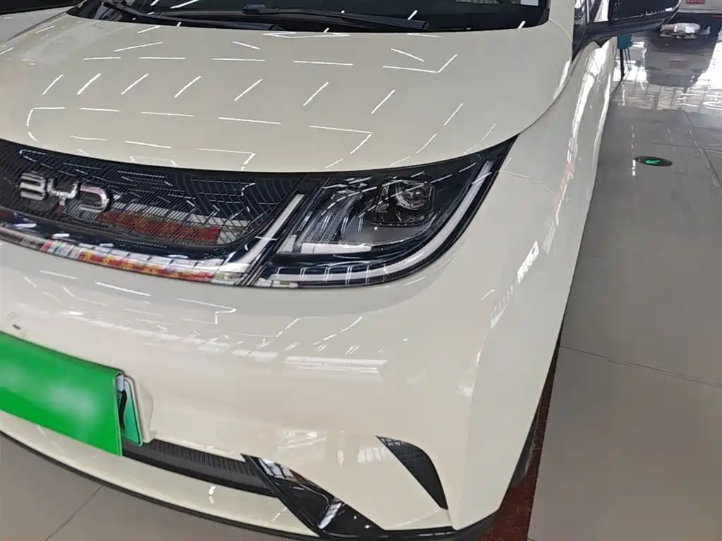 BYD Dolphin 2025 420km Freedom Edition фото 24
