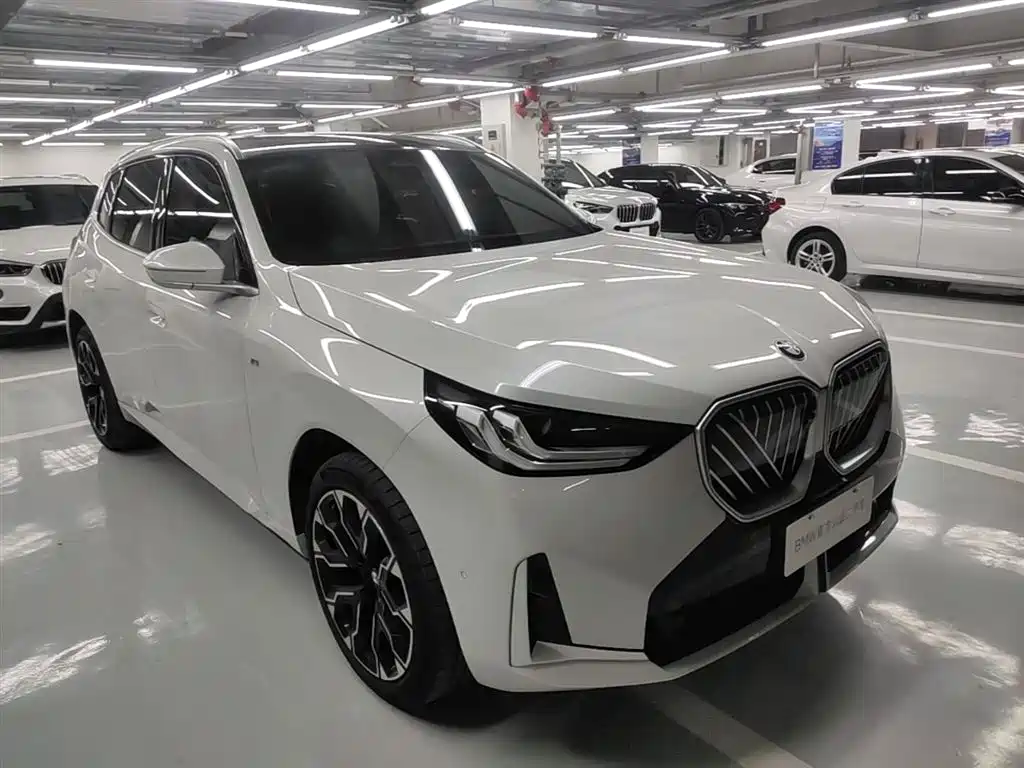 BMW X3 2025 xDrive30L Leading M Sport Package фото 7
