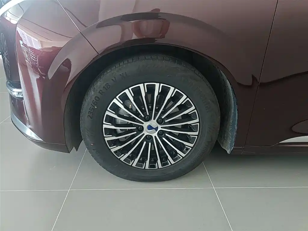 Denza D9 2024 DM-i 980 AWD Prestige фото 23
