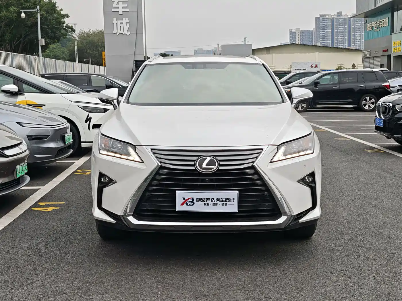 Lexus RX 2016 300 2WD Elite Edition (China V) фото 2