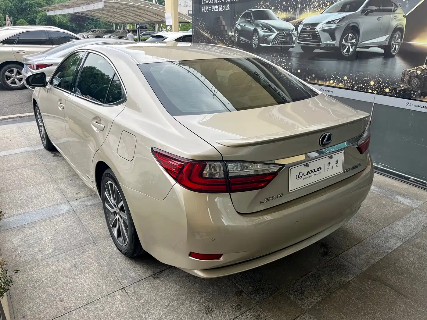 Lexus ES 2015 300h Luxury Edition фото 5