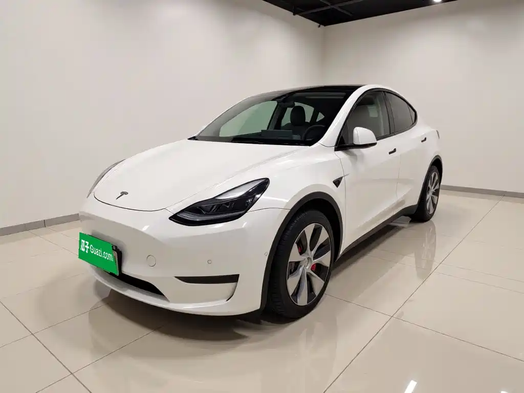 Tesla Model Y 2021 Standard Range Rear-Wheel Drive