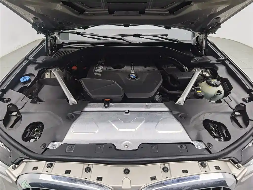 BMW X3 2019 xDrive25i Luxury Package фото 6
