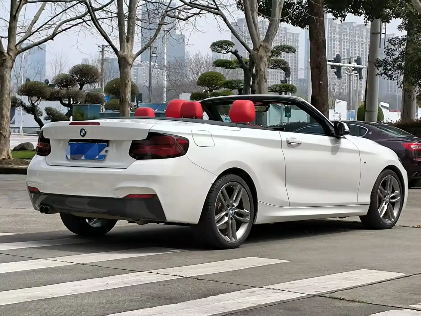 BMW 2 Series (Import) 2018 225i Convertible Coupe Premium M Sport Package фото 15