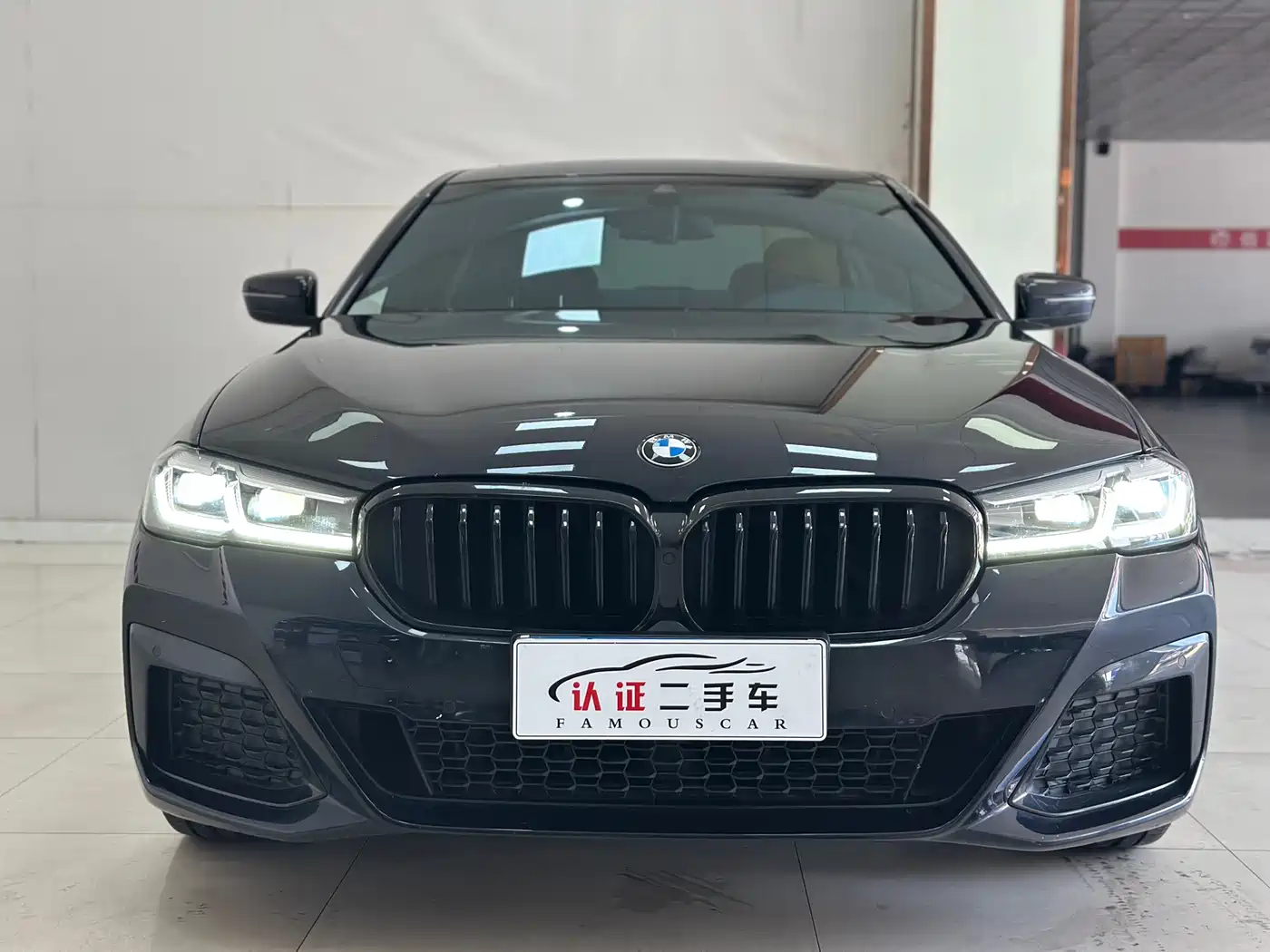 BMW 5 Series 2021 530Li Leading M Sport Package фото 2