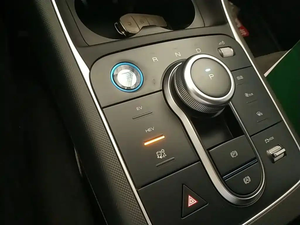 BYD Destroyer 05 2024 Glory Edition DM-i 55KM Luxury фото 14