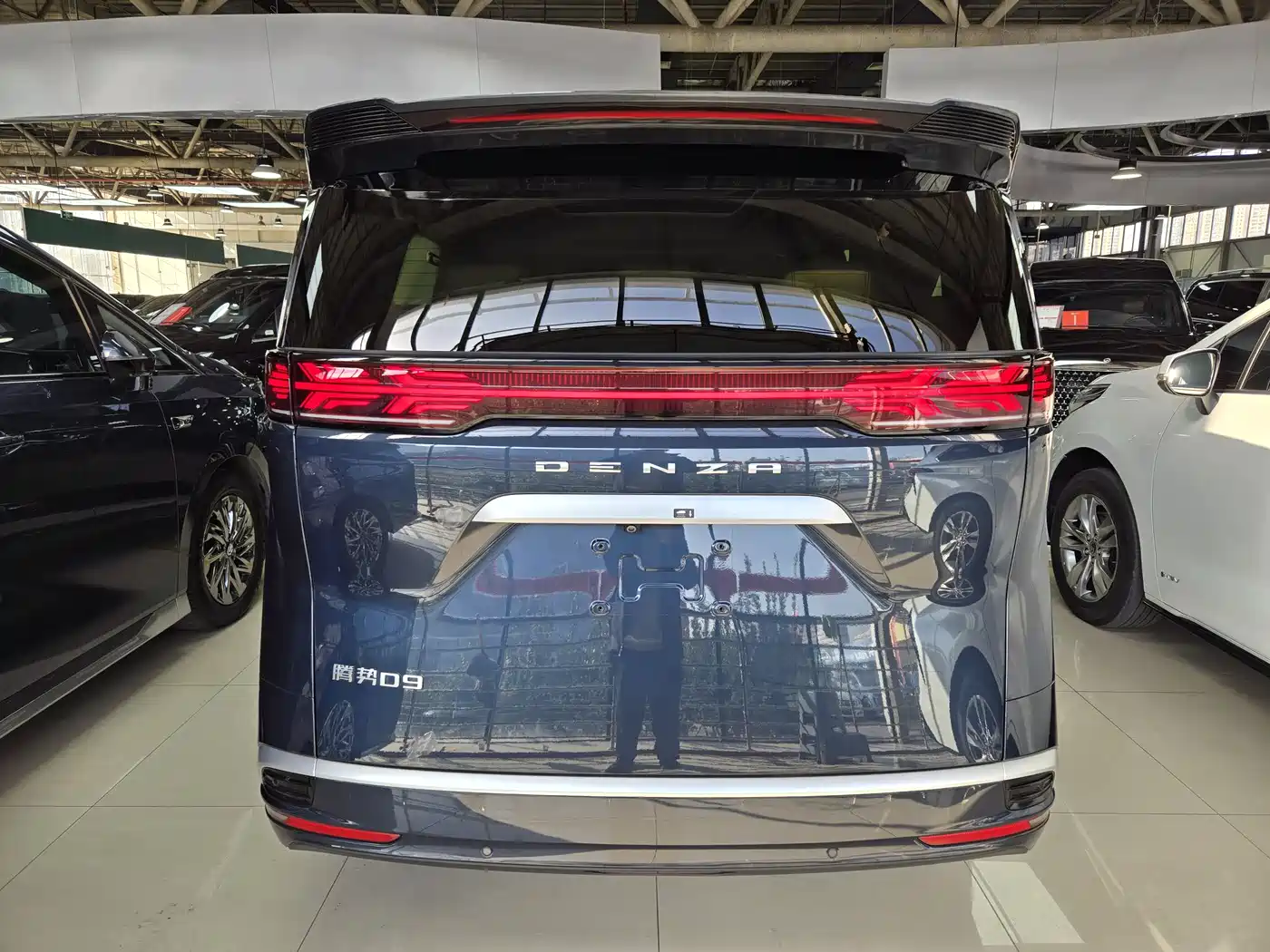 DENZA D9