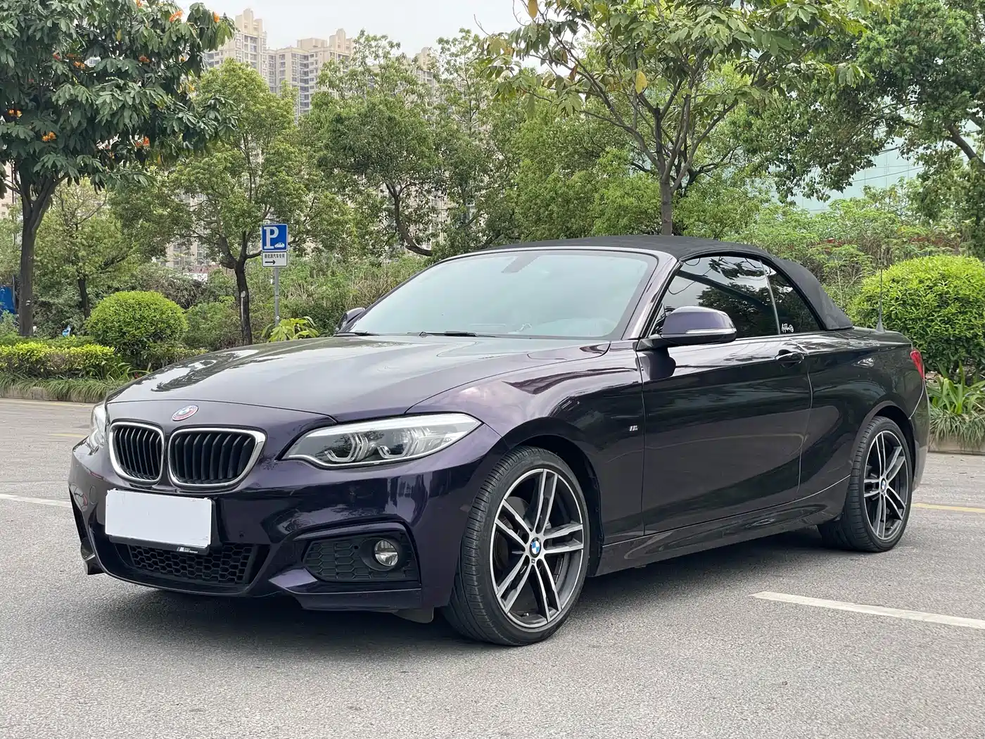 BMW 2 Series (Import) 2019 225i Convertible Coupe Exclusive M Sport Package фото 15