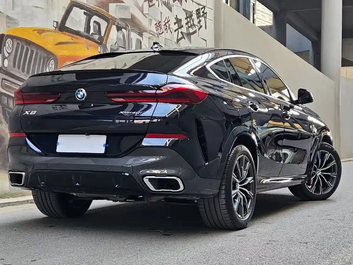 BMW X6