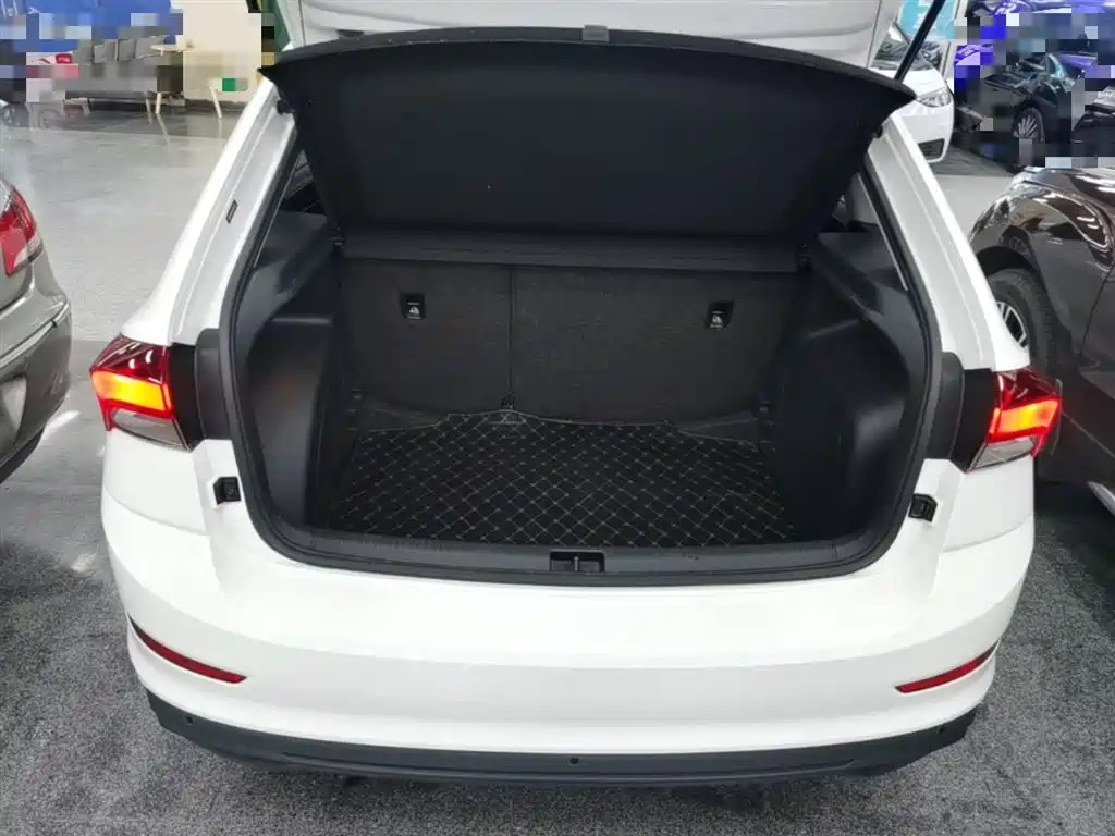 Škoda Skoda Rapid Spaceback 2020 1.5L Auto Comfort фото 19