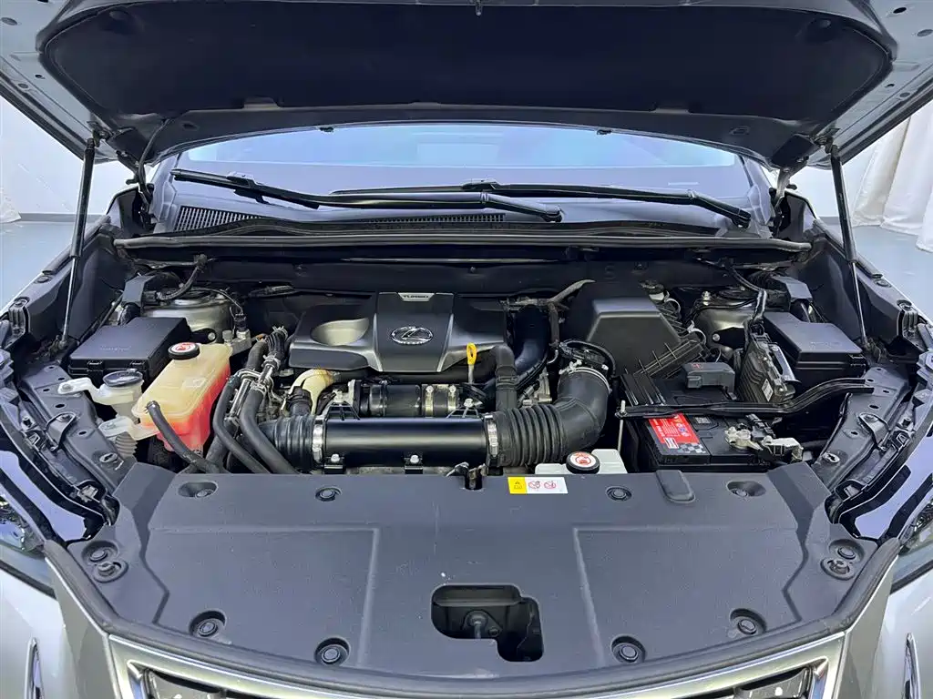 Lexus NX 2018 Model 300 FWD Fengxing Edition фото 25