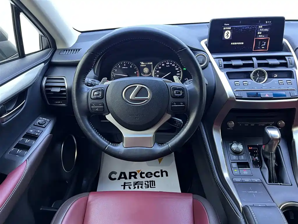 Lexus NX 2018 Model 300 FWD Fengxing Edition фото 10