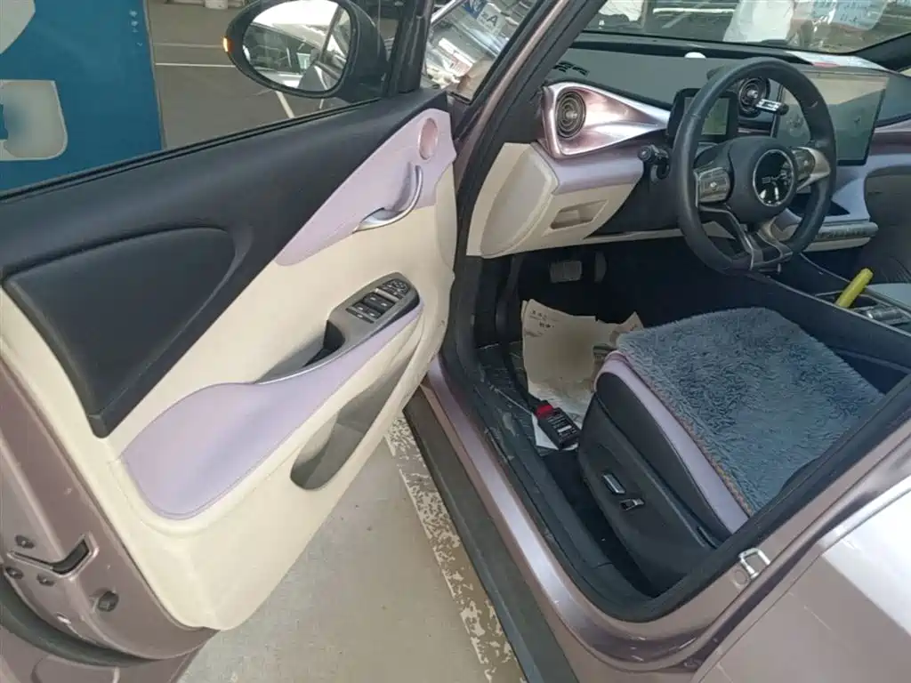 BYD Dolphin 2021 Model 405km Fashion Edition фото 16