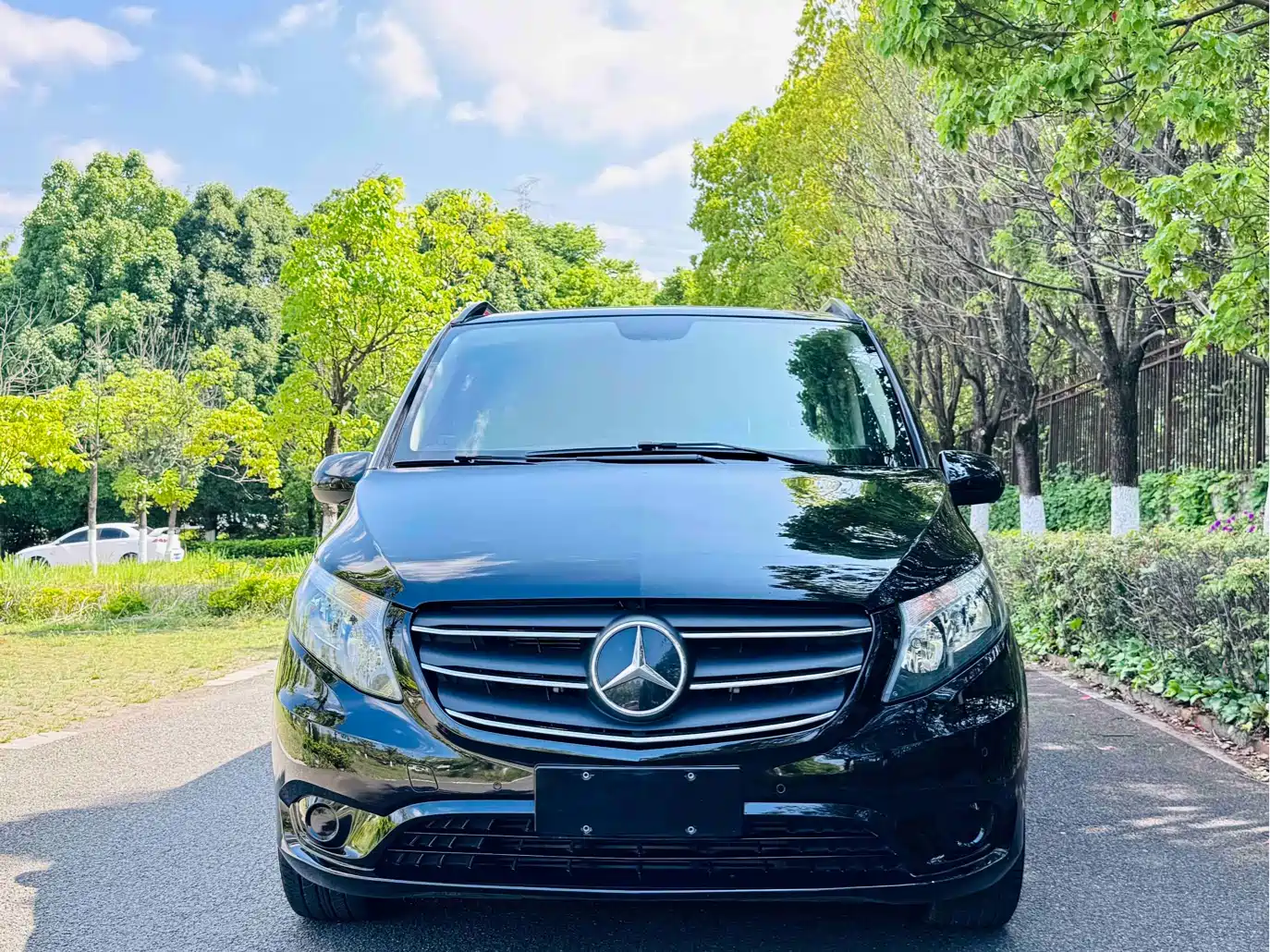 Mercedes-Benz Vito 2021 2.0T Business Edition 9-seater фото 2
