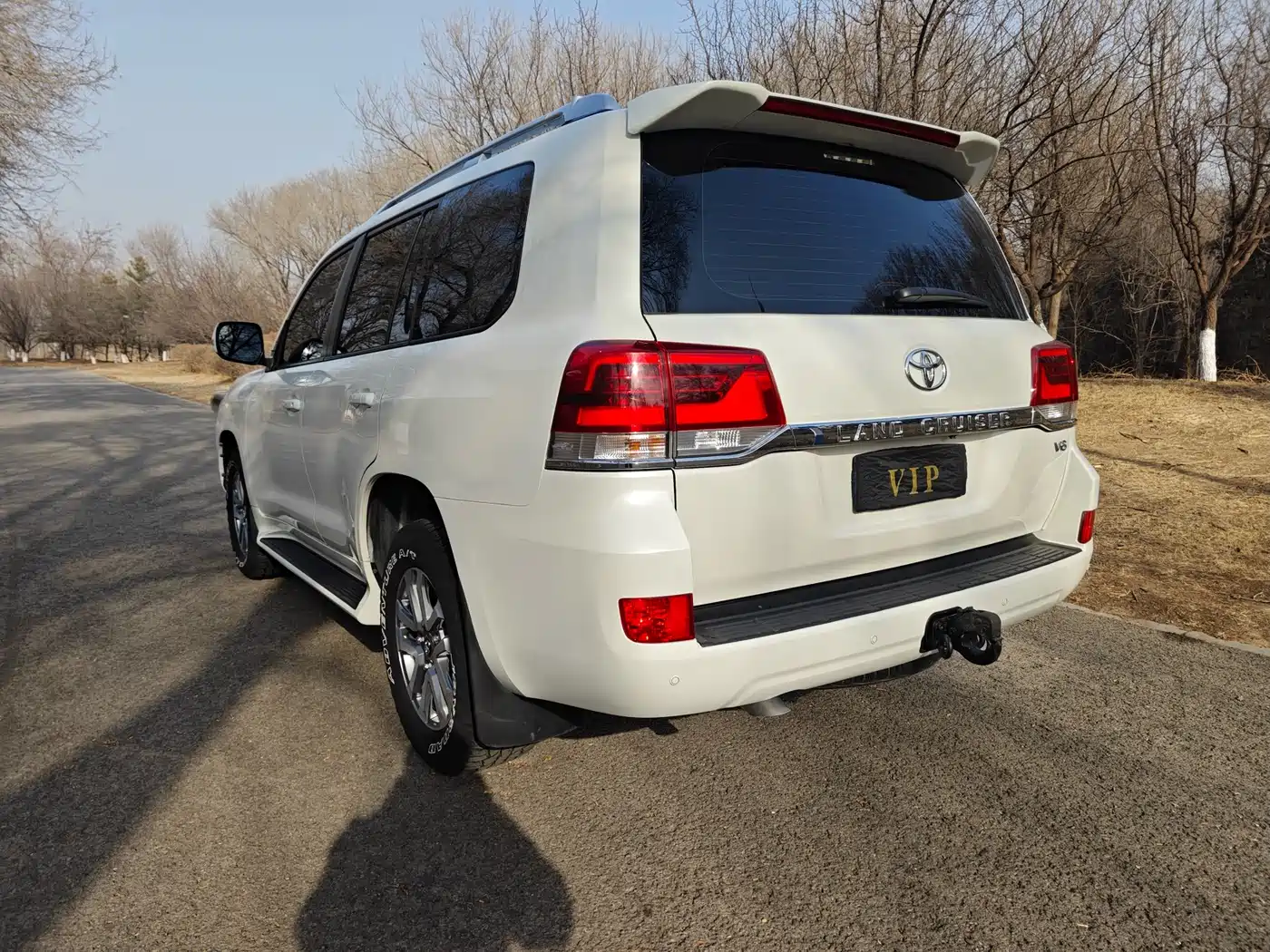 Toyota Land Cruiser (Import) фото 9